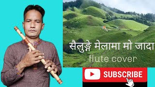 sailunge mela mo jada|raju lama|Flute cover|flutecover