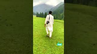 Janshai Meadows Swat Valley PAKISTAN