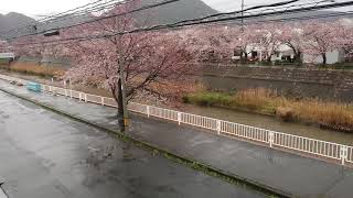 ウェザーリポート動画0401「雨、風強い」@鳥取市　17時46分頃