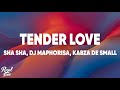 Sha Sha - Tender Love (Lyrics) ft. DJ Maphorisa, Kabza De Small