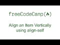 CSS Grid - Align an Item Vertically using align-self - Free Code Camp