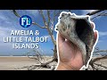 Shelling Northeast Florida State Parks