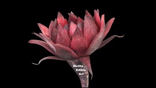 Beetroot Rose Lotus Flower | Intermediate Lesson 87 | Mutita Art Of Fruit & Vegetable Carving Youtub
