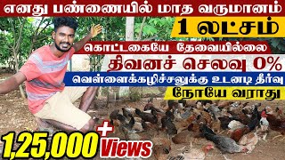 நாட்டுக்கோழி பண்ணையில் மாத வருமானம் 1 லட்சம்| Nattukozhi Valarpu In Tamil | Farming Business Ideas