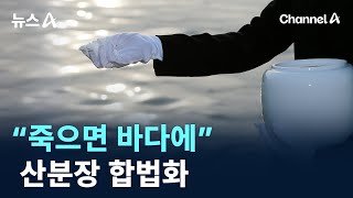 “죽으면 바다에”…산분장 합법화 / 채널A / 뉴스A