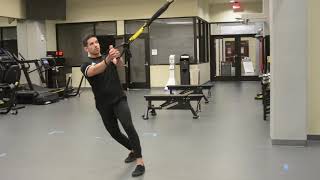 TRX Torso Rotation