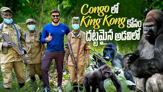 Mysterious Wild Congo 4K | GORILLAS in the Forest | Exploring African Wild | Ravi Telugu Traveller