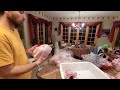 Processing Our Meat Chickens | Homestead Vlog