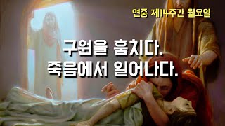 2022년 7월 4일, 연중 제14주간 월요일 [매일미사 강론] (이병근 대건안드레아) 부개동 성당