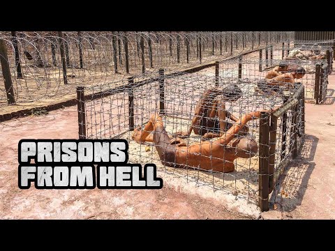 How do Prisons protect the public?