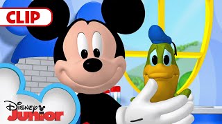 Donald Turns Into a Frog! 🐸 | Mickey Mouse Clubhouse |  @disneyjunior​