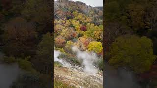 大雪高原温泉 紅葉