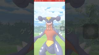 ポケモンGOレイドバトルガブリアスゲットできたかな？　#ポケgo #pokemon #ポケモンgo #pokemongo #ポケゴー #ポケモン #レイドバトル #ガブリアス #shorts