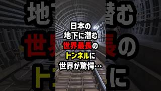 日本の地下に潜む\