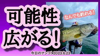 【今日のナンコ！2023.6.23】可能性広がる！【琵琶湖バス釣り】