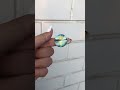 painting on coin 😮