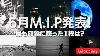 Leicaに恋して、6月最も印象に残った写真を紹介！【ポートレート、海、スナップ、動物部門】