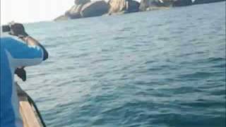 Velliyamkallu Video.wmv