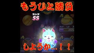 【妖怪ウォッチぷにぷに】Cブシニャン超アップガシャ10連！覚醒ぷにニャンも出やすいぞ！争奪戦最終ガシャ！YO-KAI WATCH