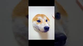 Worldest First 3D Dog Drawing | 🤭😁 | Amazing 3D Art | Dog Lovers | #shorts #shorts #3d #viral #trend
