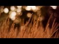 Michael E feat. Sarah Winton - 