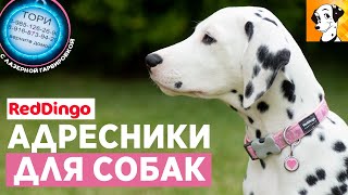 Адресники для собак Red Dingo - премиум качество!