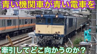 予想外の場所から現れたおかしな組み合わせ！ブルー同士が更に謎を生み出す