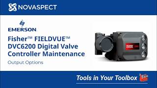 Fisher™ FIELDVUE™ DVC6200 Digital Valve Controller - Output Options