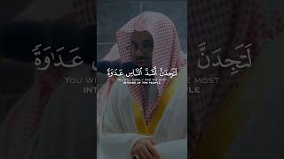 لتجدن أشد الناس عداوة للذين آمنوا اليهود و اللذين آشركوا | القارئ الشيخ سعود الشريم 😌🎧💙🤍