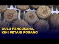 Dari Pengusaha jadi Petani, Seorang Pria di Cianjur Sukses Budidaya Porang