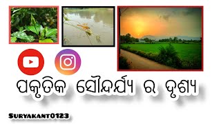 ଆହା କି ସୁନ୍ଦର୍ #reel #music #Netural #odia @pintubehera322 @chinkueditz3853 @Lipi-lifestyle