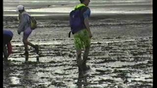 Wadlopen met Ameron Geldermalsen, maart 1992