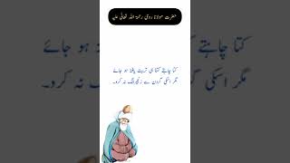 Molana RUMI | Sufi Quotes| Sufi Quotes in Urdu/Hindi #shorts