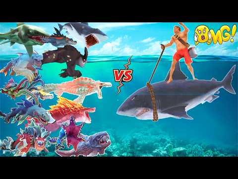 Evolución del tiburón hambriento – Rey del verano contra todos los tiburones – Tiburón hambriento – Juego de tiburones