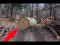 Inside World`s largest Sawmill US