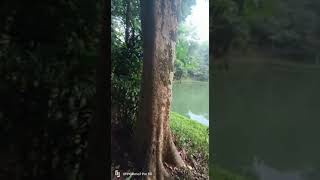 ഇതൊക്കെ കണ്ടു പേടിച്ചുപോയി 😲😲😲😲 #viral #short