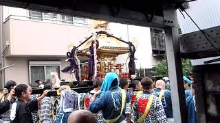 双葉・氷川神社神幸祭  例大祭神輿 2018年9月2日 Part. 2 神輿渡御　直前に雨が降りました。