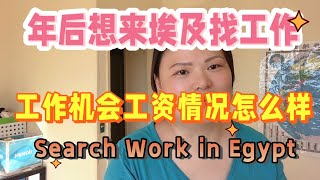 年后来埃及找工作怎么样 how about searching work in Egypt