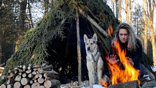 SOLO WINTER OVERNIGHTER in a BUSHCRAFT HUT | Coyotes Howl, Woken by SNOWSTORM