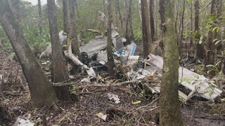 Plane that crashed in Flagler County was headed to skydiving training center