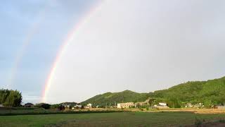 SATOYAMA 里山 レインボーブリッジ