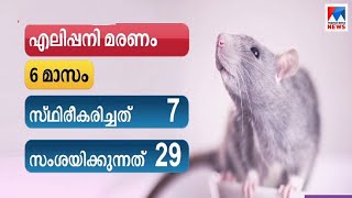 എലിപ്പനി ലക്ഷണങ്ങളോടെ രണ്ടാഴ്ചക്കിടെ പൊലിഞ്ഞത് 7 പേർ; സംസ്ഥാനത്ത് ആശങ്ക | Rat fever