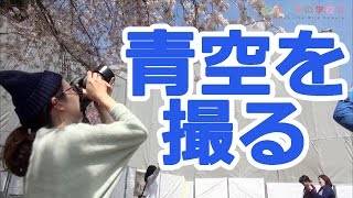 【カメラ】青空が白くならない！桜と空を鮮やかに撮るテクニック【撮影】