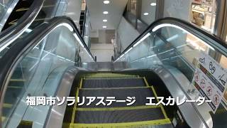 【エスカレーター】福岡市天神ソラリアステージのエスカレーター　Escalator in Japan, Fukuoka