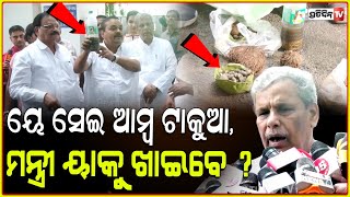 ୟେ ସେଇ ଆମ୍ବ ଟାକୁଆ, ମନ୍ତ୍ରୀ ୟାକୁ ଖାଇବେ ? Congress protest with Mango kernel, team meet governor .