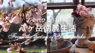 [From Yatsugatake] #103 Scenery of Spring and Flowers (Special Edition)