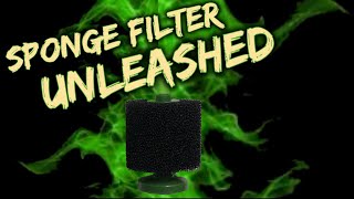 Sponge Filter Unleashed:  Set up, mods, and more