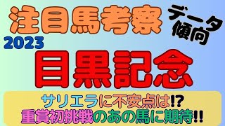 【2023目黒記念】注目馬考察(データ傾向)～サリエラに不安点は！？重賞初挑戦のあの馬に期待！！～