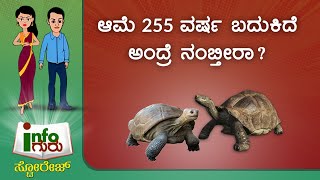 ಆಮೆಗಳ ಜೀವನ ತುಂಬಾನೇ ರೋಚಕ! Info Guru - Interesting Facts about Turtles | Saral Jeevan