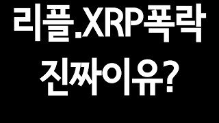 리플.XRP'폭락 진짜이유?'